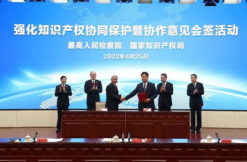 最高檢與國(guó)家知識(shí)產(chǎn)權(quán)局建立常態(tài)化聯(lián)絡(luò)機(jī)制 重大案件共同掛牌督辦